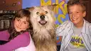 Mike's Super Short Show