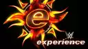 WWE Experience