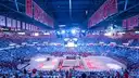 The Joe