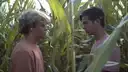 Desire: The Short Films of Ohm