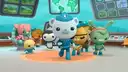 The Octonauts