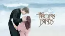 The Thorn Birds