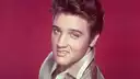 Elvis: Love Me Tender-The Love Songs