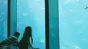 A Song I Remember