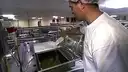 How'd That Get On My Plate?
