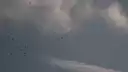 The Sky Seemed Too High