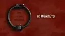 12 Monkeys