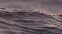 Neapolitan