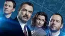 Blue Bloods