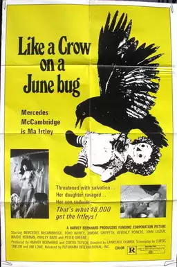 Like a Crow on a June Bug