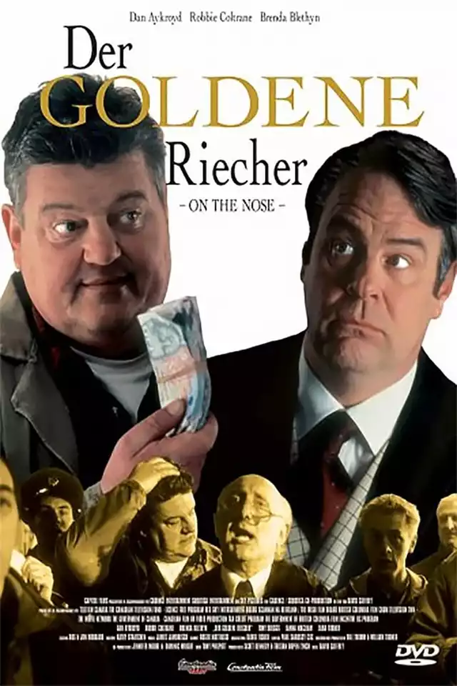 movie vertical poster fallback