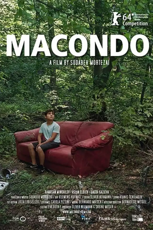 movie vertical poster fallback