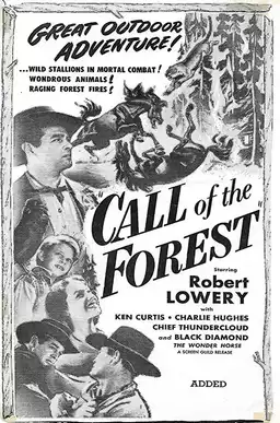 Call of the Forest