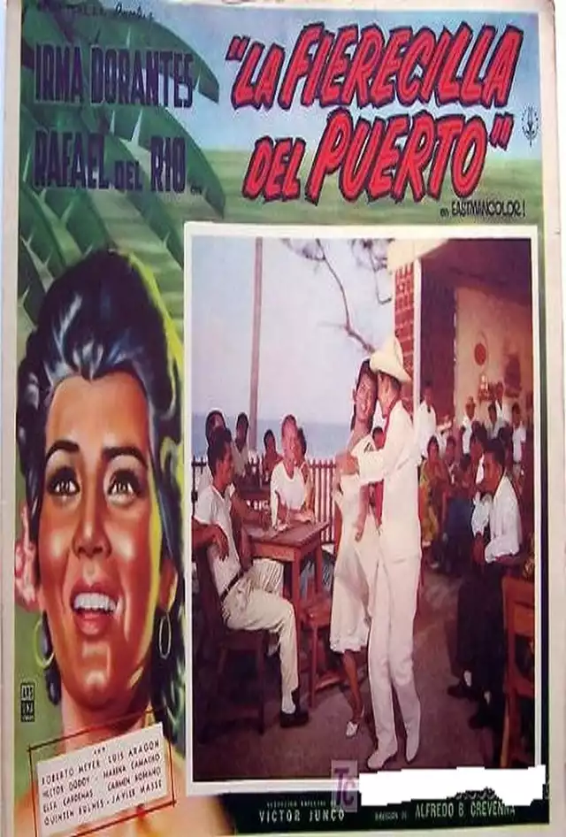 movie vertical poster fallback