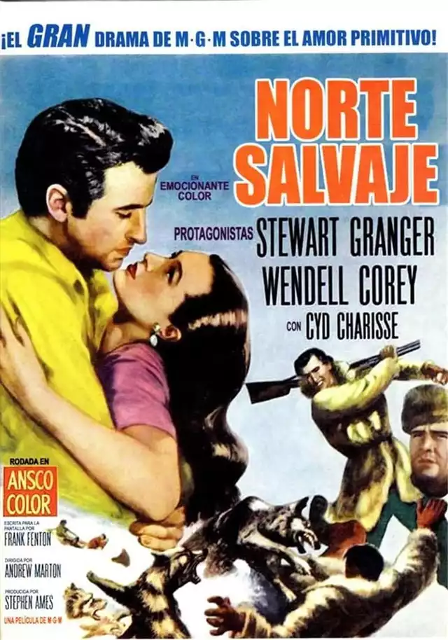 movie vertical poster fallback