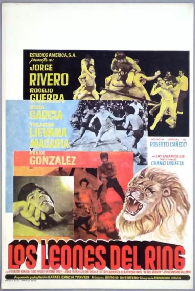 movie vertical poster fallback