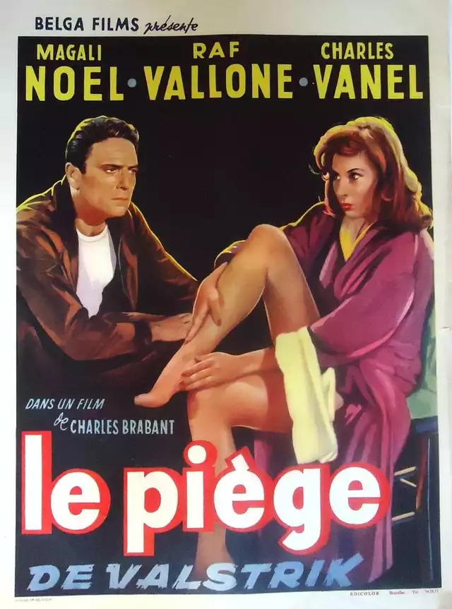 movie vertical poster fallback