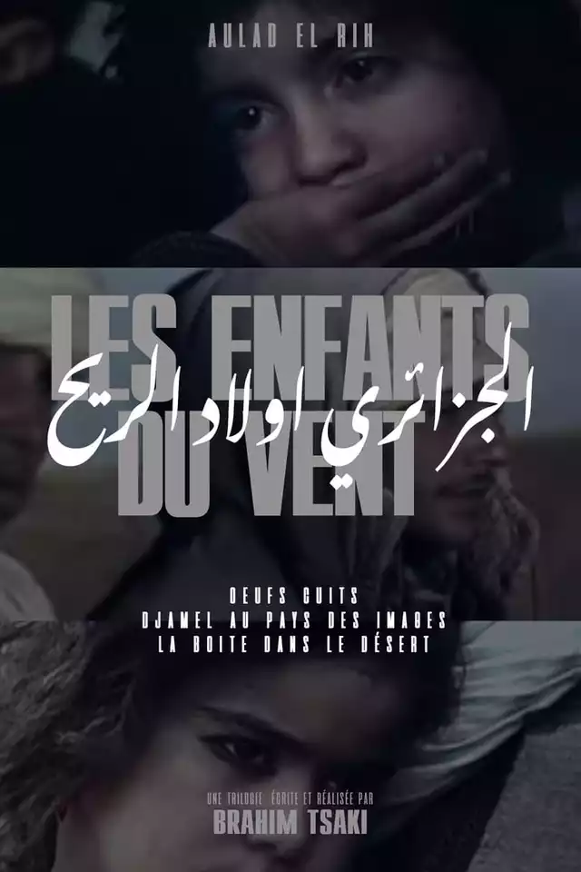 movie vertical poster fallback