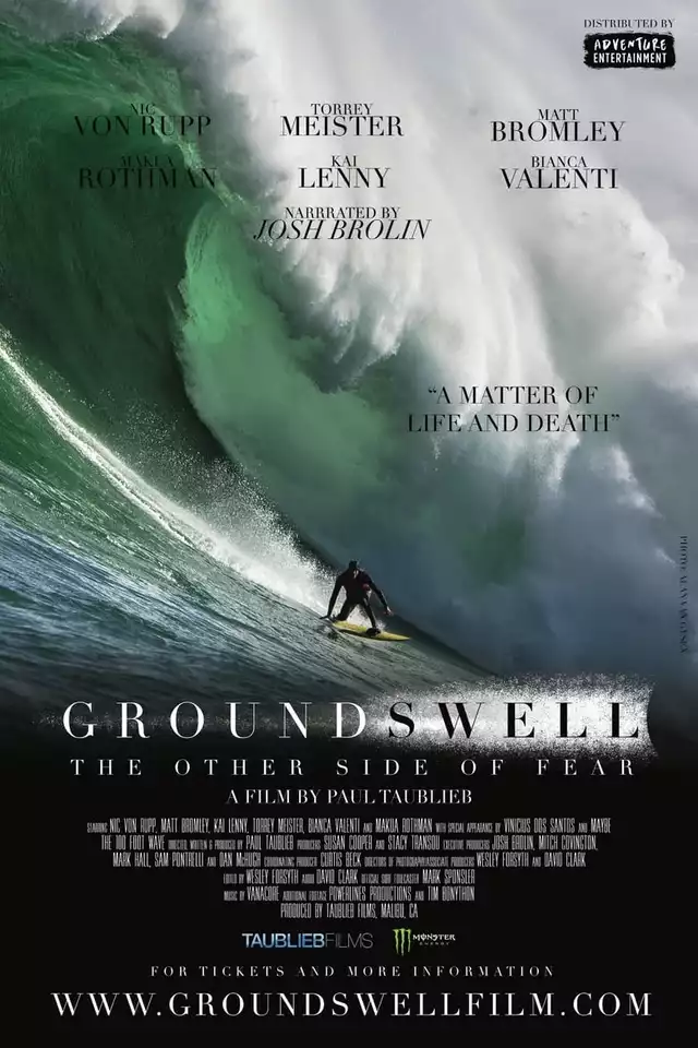 movie vertical poster fallback