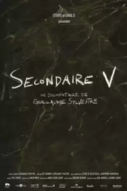 Secondaire V