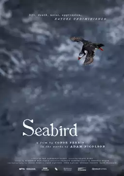 Seabird