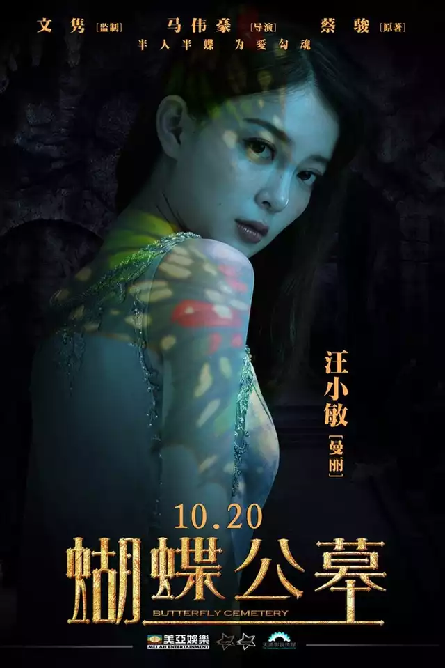 movie vertical poster fallback
