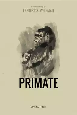 Primate