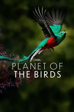 Planet of the Birds