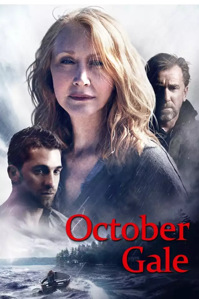 movie vertical poster fallback