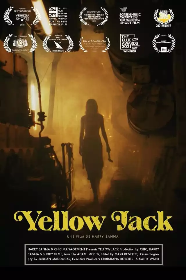 movie vertical poster fallback