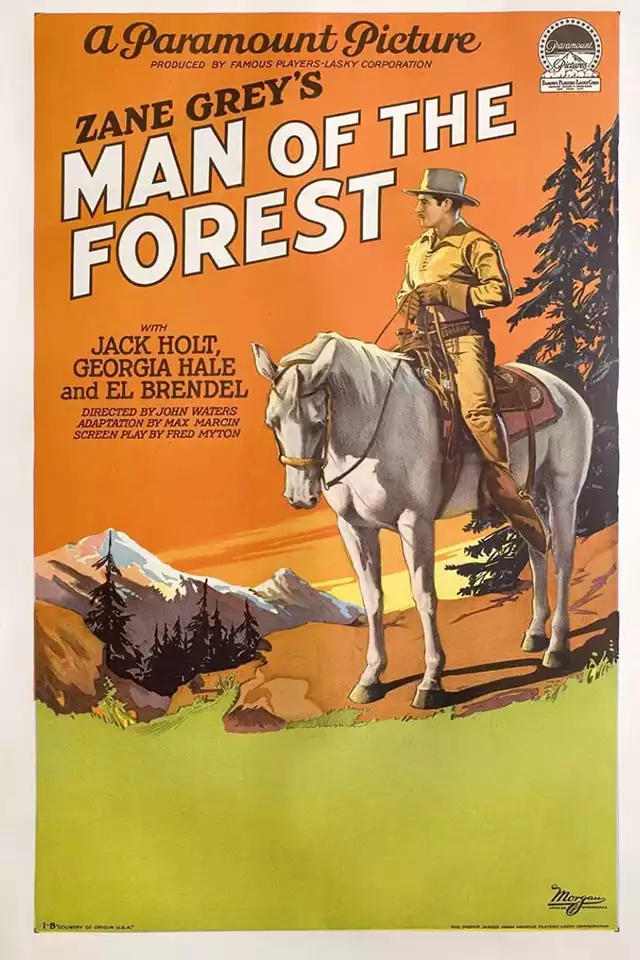 movie vertical poster fallback