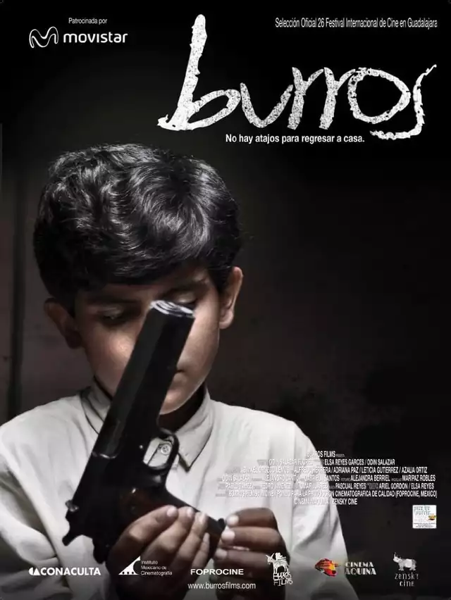 movie vertical poster fallback