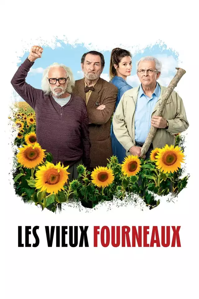 movie vertical poster fallback