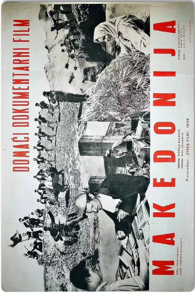 movie vertical poster fallback