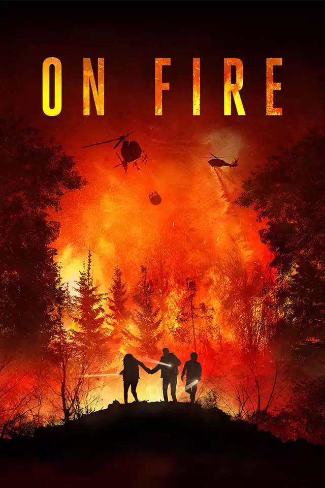 movie vertical poster fallback