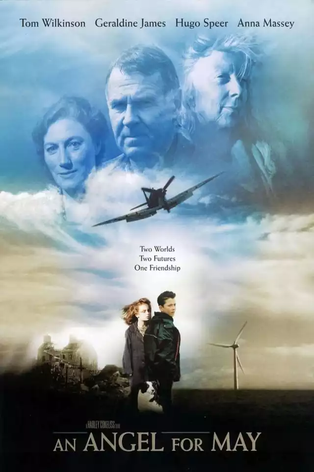movie vertical poster fallback