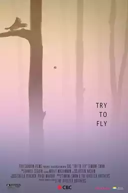 Try to Fly