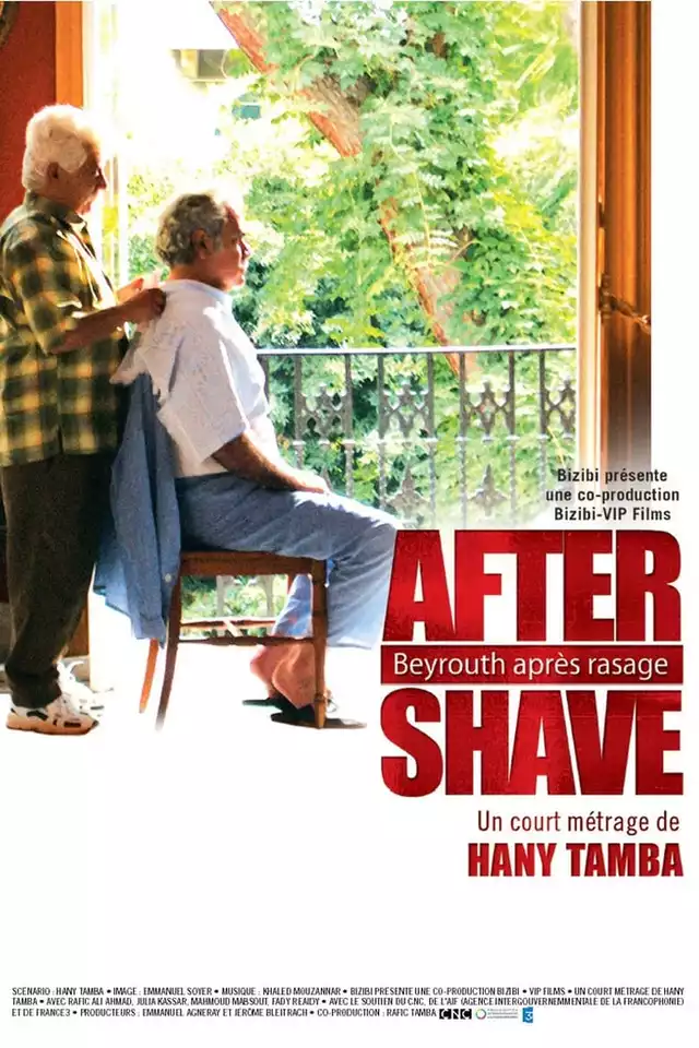 movie vertical poster fallback