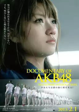 Documentary of AKB48 No Flower Without Rain