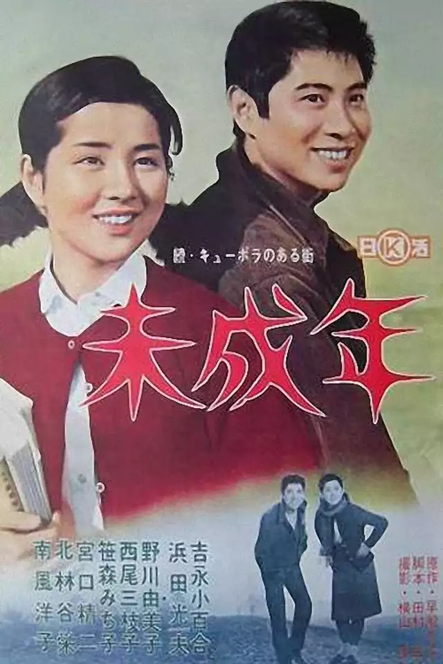 movie vertical poster fallback