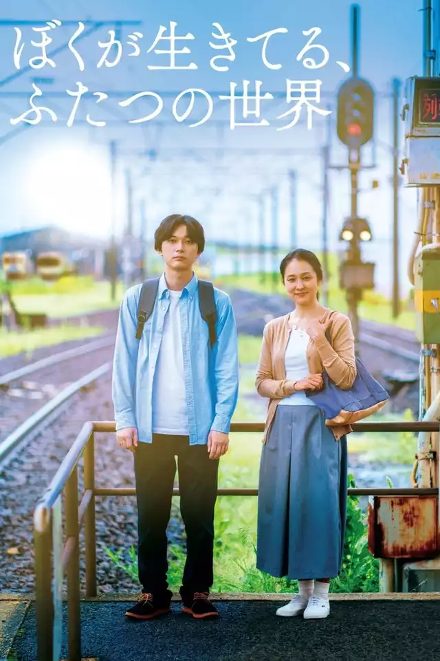 movie vertical poster fallback