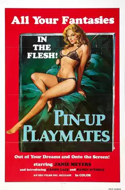 Pin-up Playmates