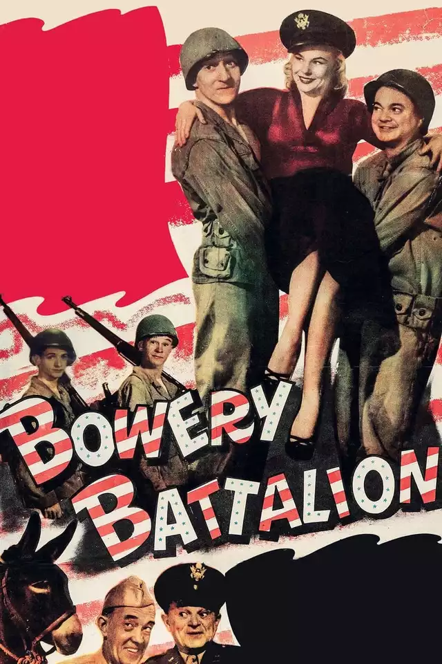 movie vertical poster fallback
