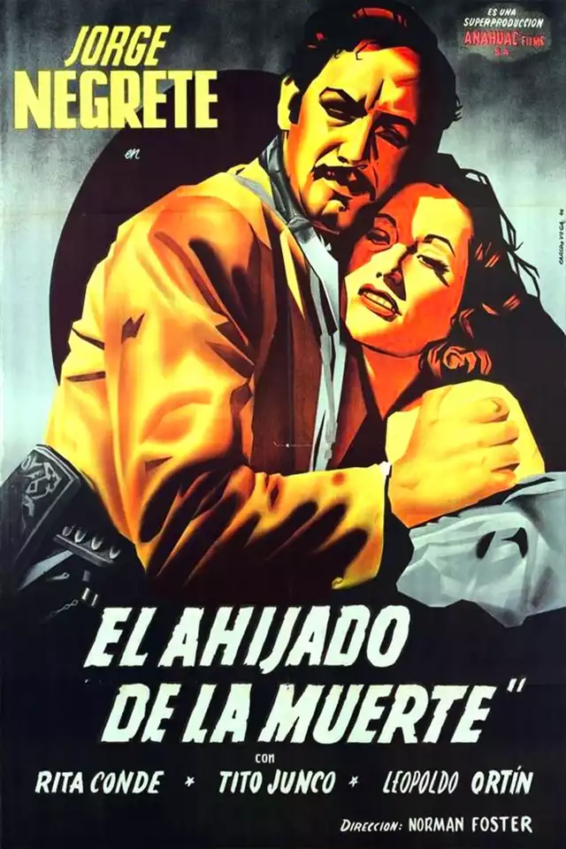 movie vertical poster fallback