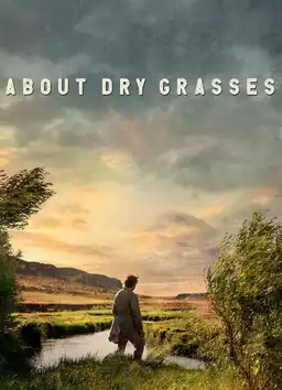 About Dry Grasses