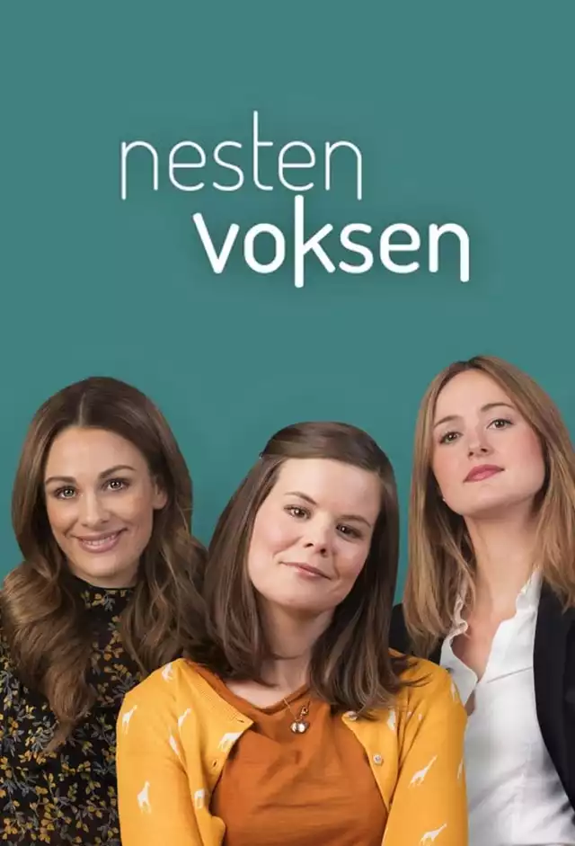 movie vertical poster fallback