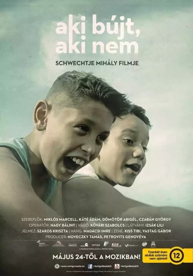 movie vertical poster fallback
