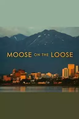 Moose on the Loose