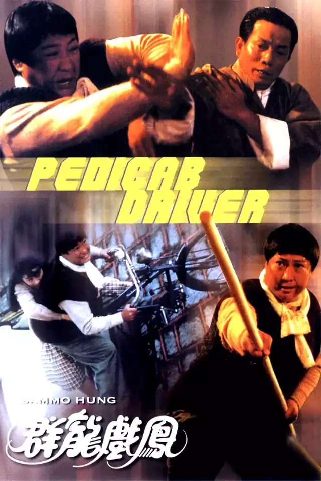 movie vertical poster fallback