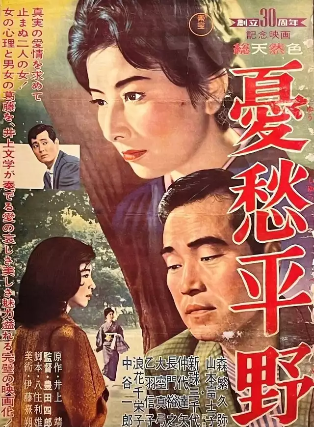 movie vertical poster fallback